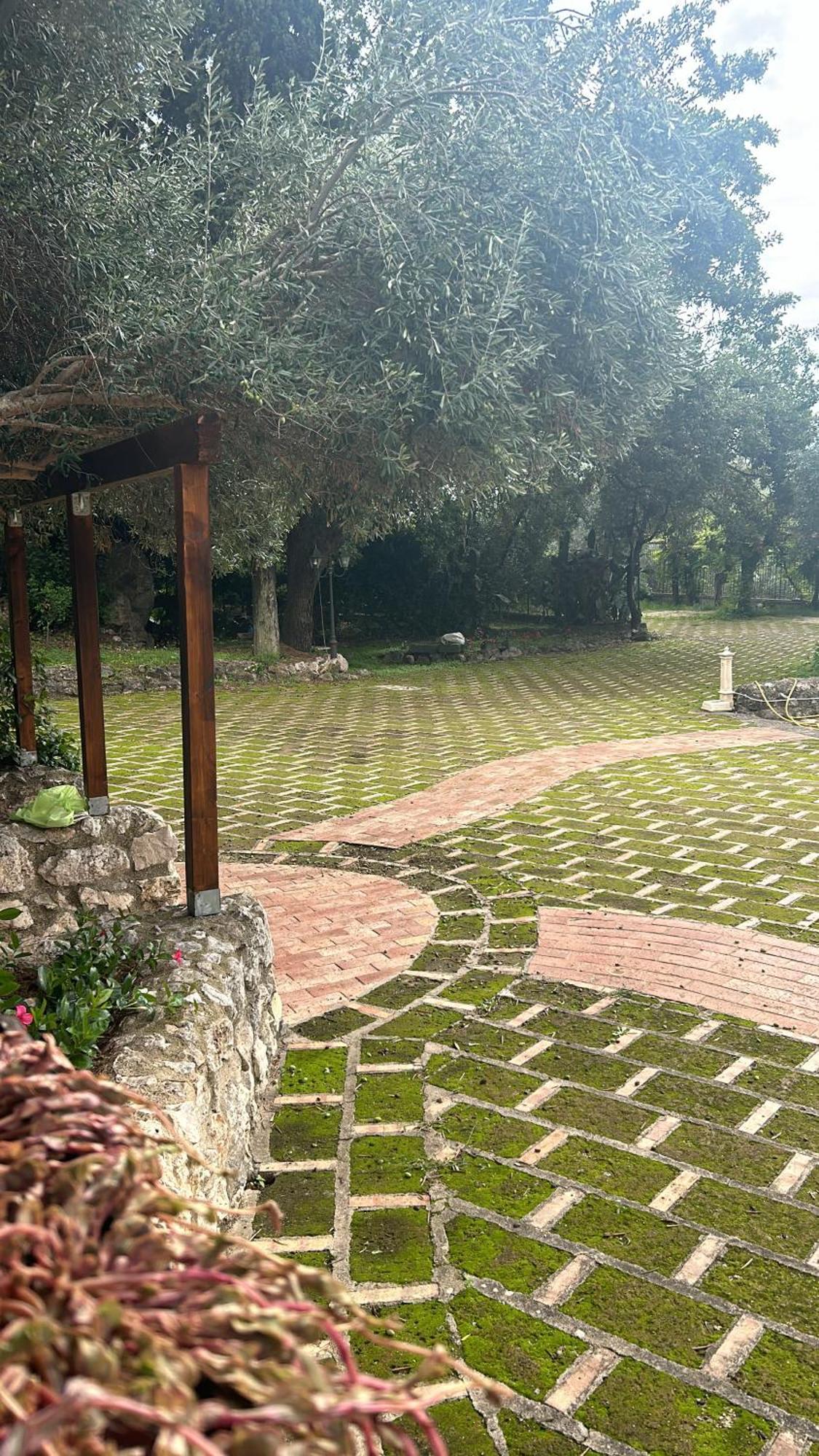 Domus Arco Romano Guest House イトリ エクステリア 写真